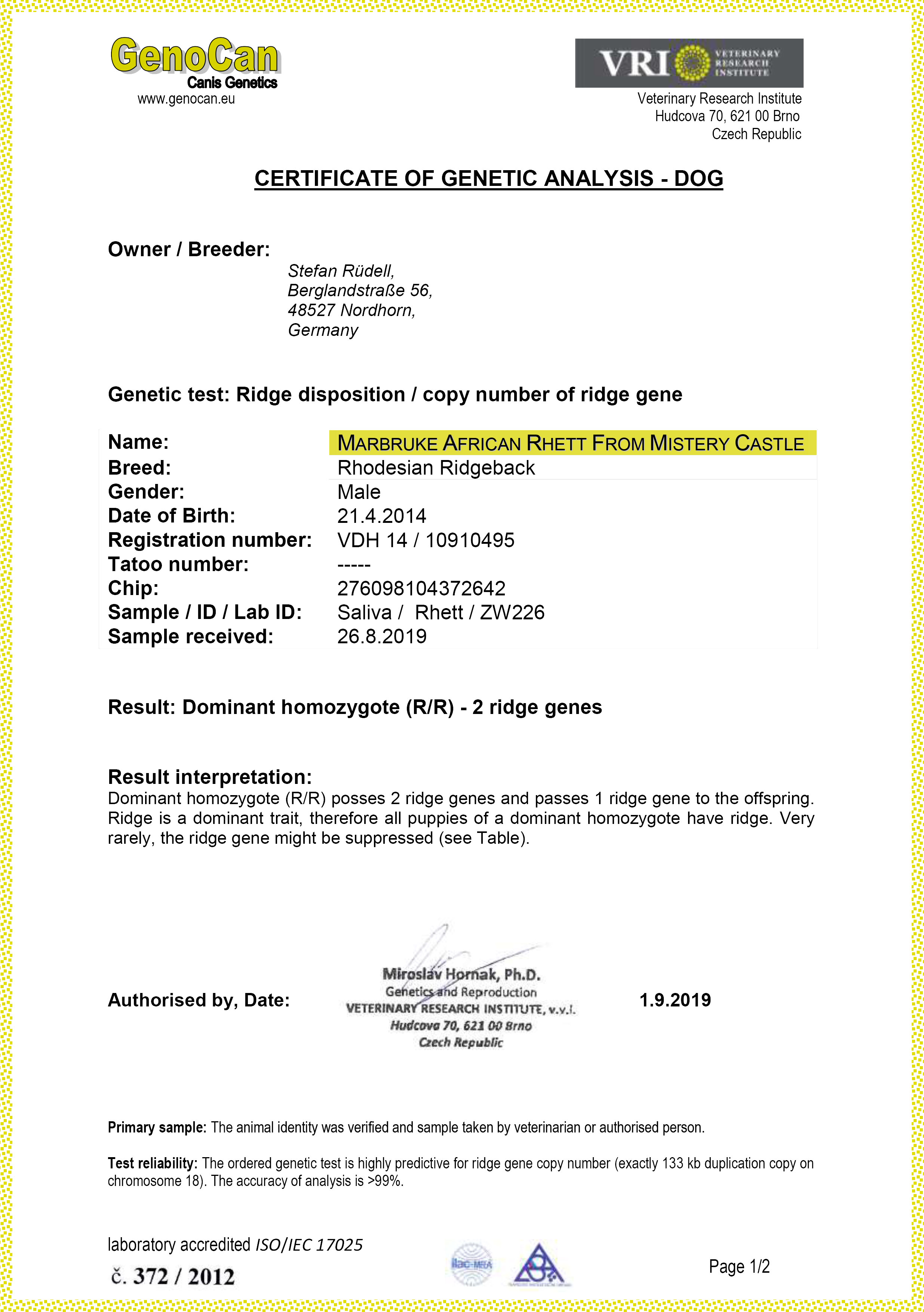 Mabruke African Rhett From Mistery Castle Mabruke African Rhett From Mistery Castle