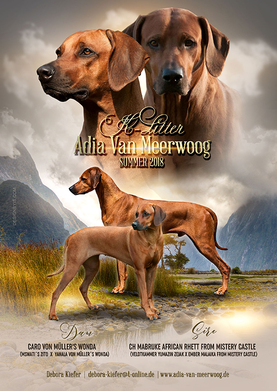 Mabruke African Rhett From Mistery Castle Mabruke African Rhett From Mistery Castle